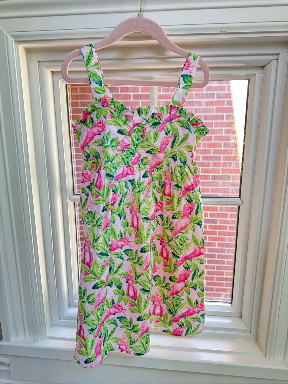 Janie and Jack Pink Floral Dress with Green Leaves Tropical Bird Sundress